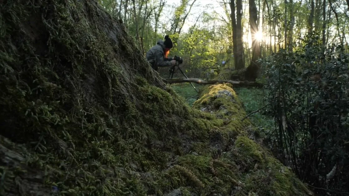 Umberto Pisano showreel